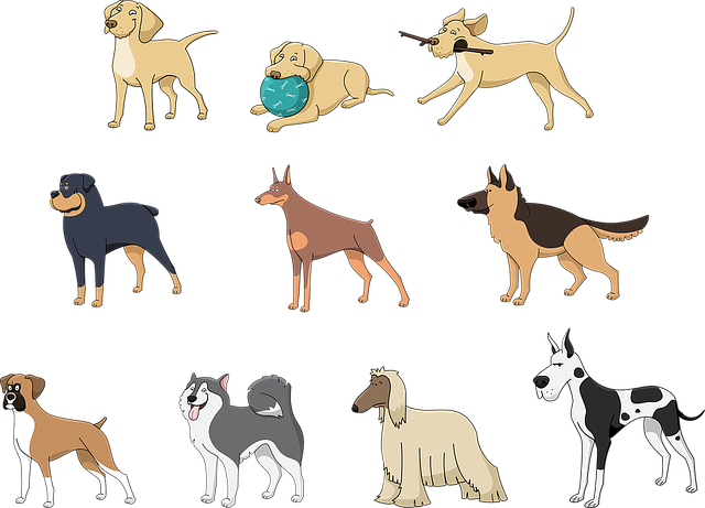 Afbeelding van cartoon van verschillende hondenrassen