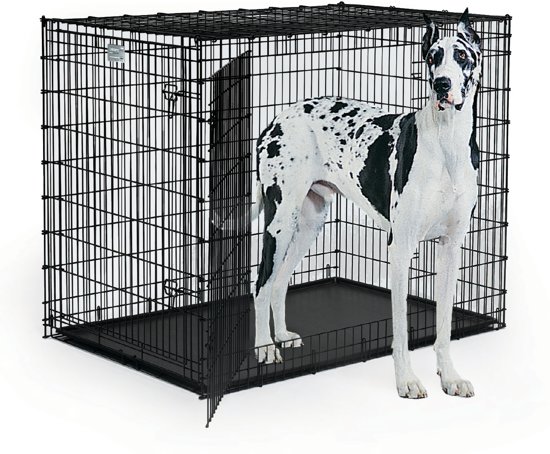 Afbeelding van een XXL hond in de Midwest Hondenbench Mega