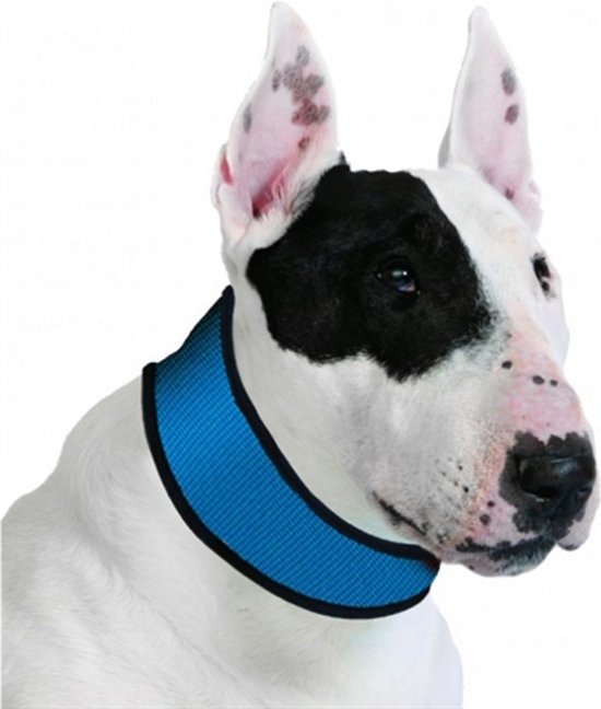 Afbeelding van een halsband die je hond verkoeling biedt