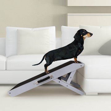 Afbeelding van een loopplank met een hond erop