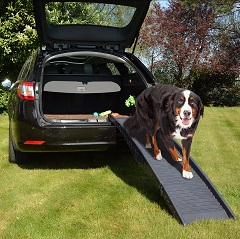 Afbeelding van een loopplank met een hond en auto